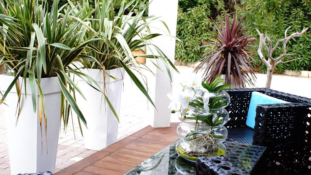 La Villa Blanche Sanary-sur-Mer Habitación foto